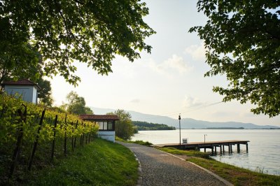AI-generated travel thumbnail for Csopak