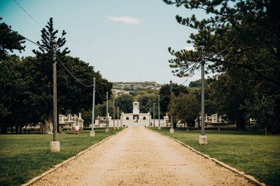 AI-generated travel thumbnail for Curtis