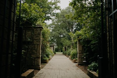 AI-generated travel thumbnail for Cypress Hills