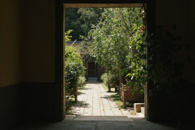 AI-generated travel thumbnail for Dâmbu