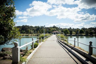 AI-generated travel thumbnail for Dargaville