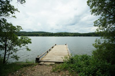 AI-generated travel thumbnail for Davidson County