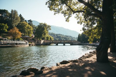 AI-generated travel thumbnail for Département du Vaucluse