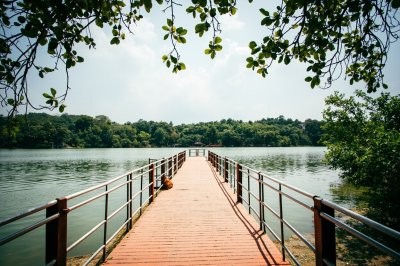 AI-generated travel thumbnail for Desur