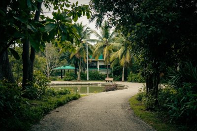 AI-generated travel thumbnail for Disod
