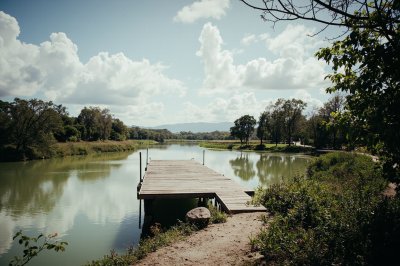 AI-generated travel thumbnail for Distrito de Dolega