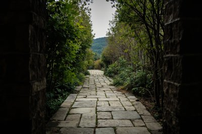 AI-generated travel thumbnail for Drăgoeşti-Snagov