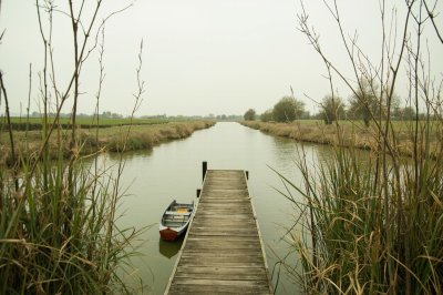AI-generated travel thumbnail for Driemond