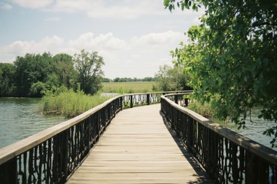 AI-generated travel thumbnail for Duval County