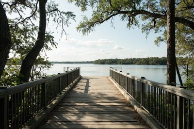 AI-generated travel thumbnail for East Carroll Parish