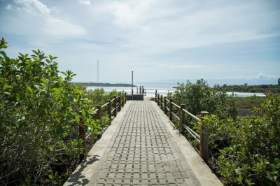 AI-generated travel thumbnail for Ecroignard