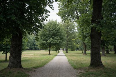 AI-generated travel thumbnail for Edingen-Neckarhausen