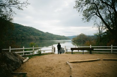 AI-generated travel thumbnail for El Bosque