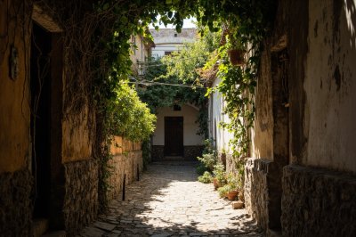 AI-generated travel thumbnail for El Capulín