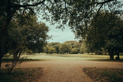 AI-generated travel thumbnail for El Lindero