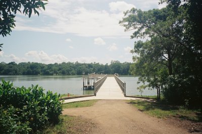 AI-generated travel thumbnail for El Palmar