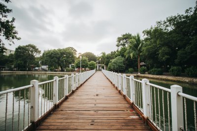 AI-generated travel thumbnail for El Palmar de San Antonio