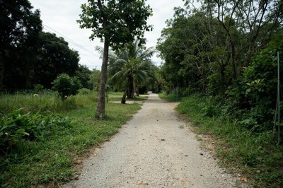 AI-generated travel thumbnail for El Paujil