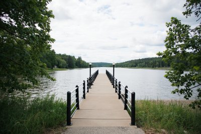 AI-generated travel thumbnail for Elbow Lake