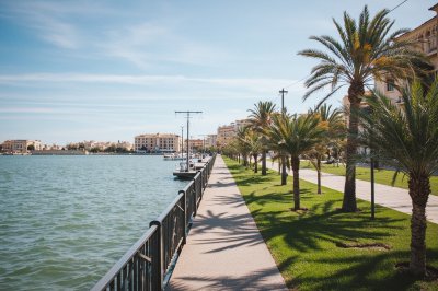 AI-generated travel thumbnail for Elche/Elx