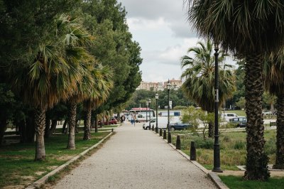 AI-generated travel thumbnail for Elche