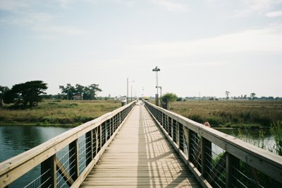 AI-generated travel thumbnail for Elkhorn