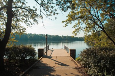 AI-generated travel thumbnail for Ellisville