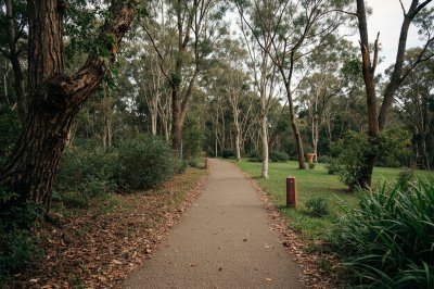 AI-generated travel thumbnail for Ferntree Gully