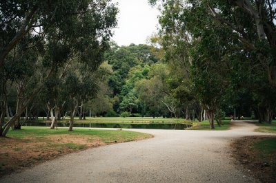 AI-generated travel thumbnail for Ferny Grove