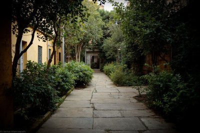 AI-generated travel thumbnail for Floresta La