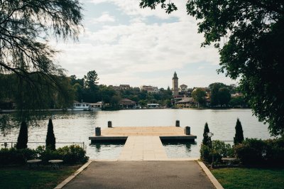 AI-generated travel thumbnail for Floresta