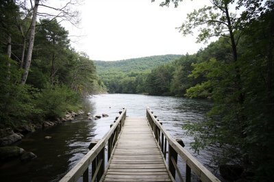 AI-generated travel thumbnail for Forest County