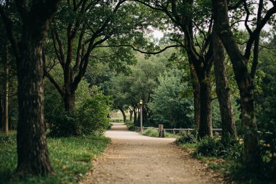 AI-generated travel thumbnail for Forest Hill
