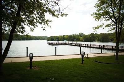AI-generated travel thumbnail for Forest Park