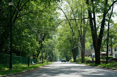 AI-generated travel thumbnail for Forestville