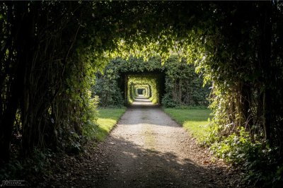 AI-generated travel thumbnail for Foug