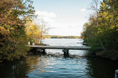 AI-generated travel thumbnail for Fox Lake Hills