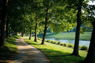 AI-generated travel thumbnail for Fredericktown