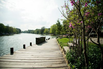 AI-generated travel thumbnail for Friese Buurt