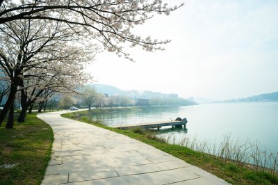AI-generated travel thumbnail for Gangdong-gu