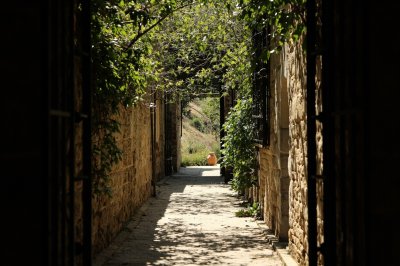 AI-generated travel thumbnail for Ginestra Fiorentina