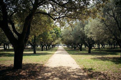 AI-generated travel thumbnail for Granja de la Costera la