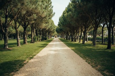 AI-generated travel thumbnail for Gratallops