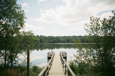 AI-generated travel thumbnail for Green Meadows