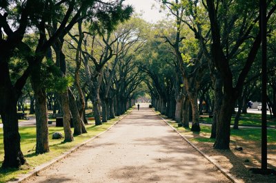 AI-generated travel thumbnail for Guadalupe Hidalgo