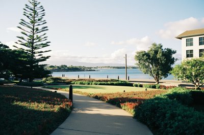 AI-generated travel thumbnail for Hālawa Heights
