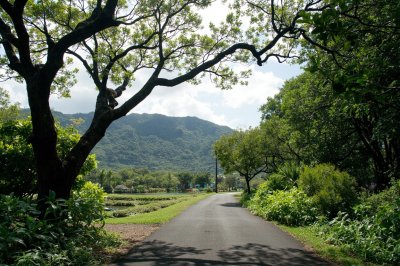AI-generated travel thumbnail for Hawaiian Paradise Park