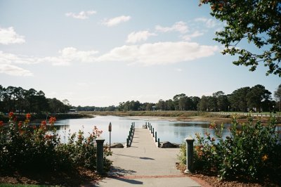 AI-generated travel thumbnail for Horry County