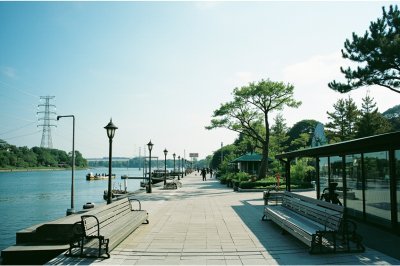 AI-generated travel thumbnail for Ikeda