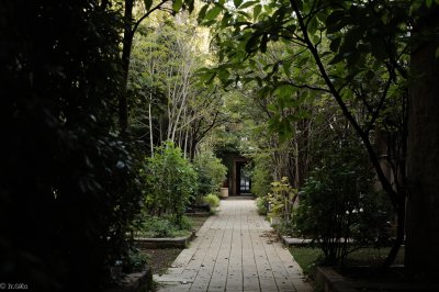 AI-generated travel thumbnail for Inđija